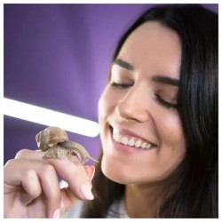 Krem przeciwzmarszczkowy na dzień i na noc ze śluzem ślimaka i wydzieliną węża